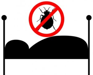 counter bed bugs