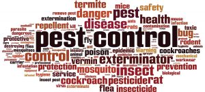 Local Pest Control professional pest control alt
