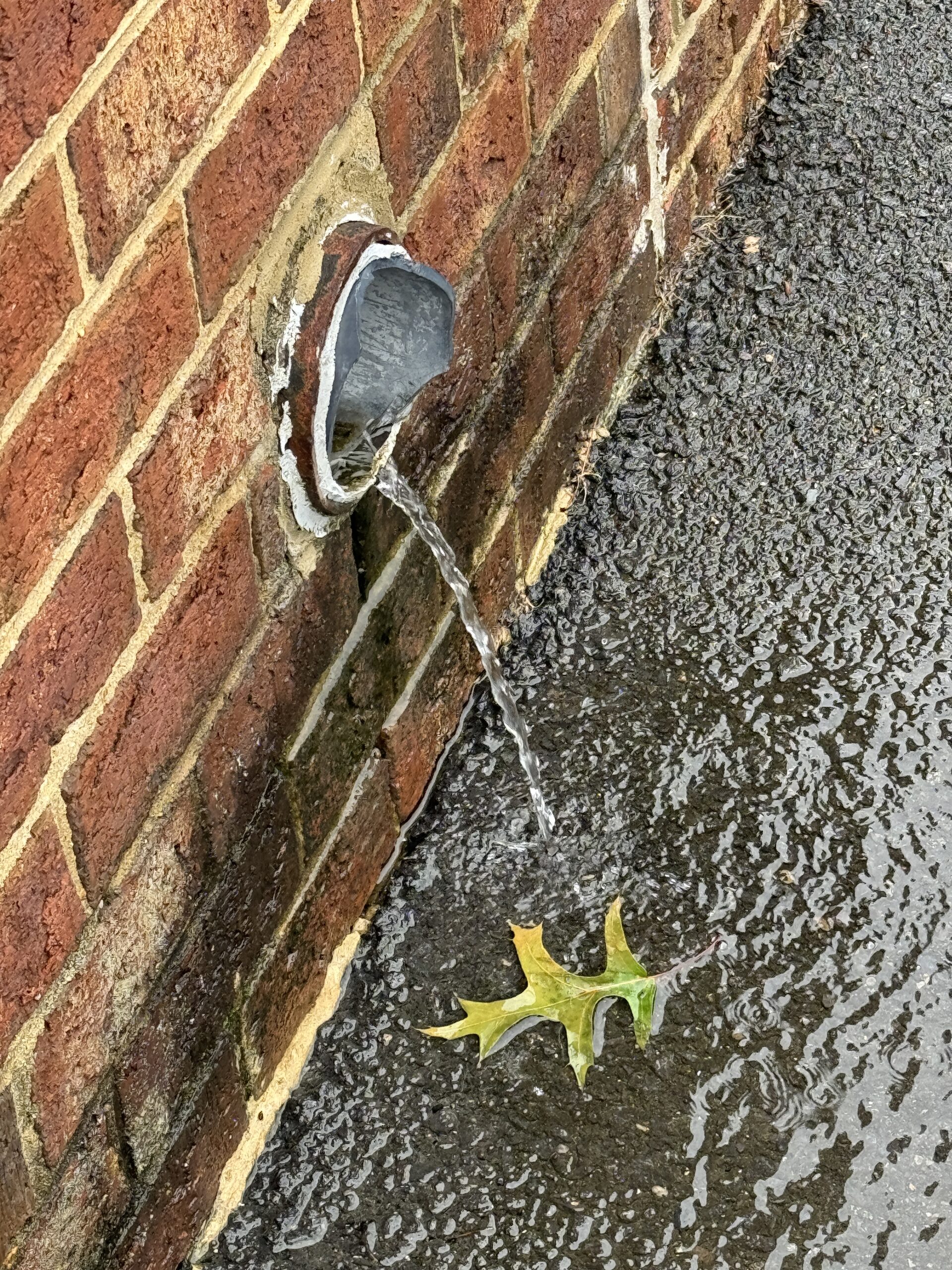 Water draining from gutters in Vienna, VA. Proper drainage from gutters can help prevent ants