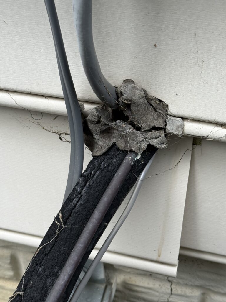Closeup of a Alexandria, VA home mouse entry-point