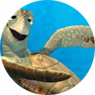 Crush Avatar